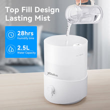 Load image into Gallery viewer, Stelive 2.5L Humidifier for Bedroom Children's Room, Cool Mist Humidifier and Essential Oil Diffuser Combo, Top Fill Humidifier for Baby, Home, Plant