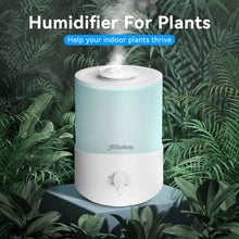 Load image into Gallery viewer, Stelive 2.5L Humidifier for Bedroom Children's Room, Cool Mist Humidifier and Essential Oil Diffuser Combo, Top Fill Humidifier for Baby, Home, Plant